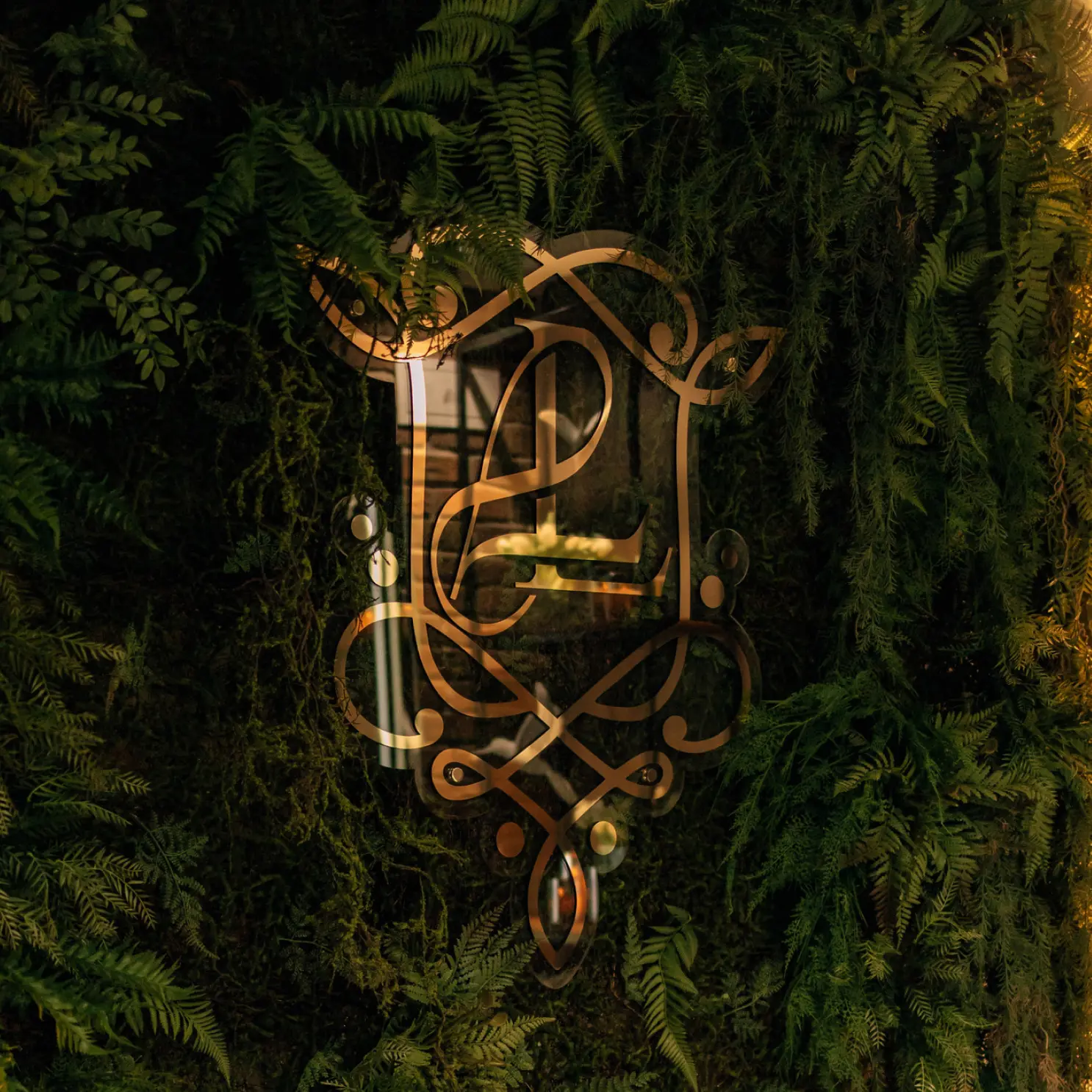 Регистрация в программе лояльности ЛУКОМОРЬЕ