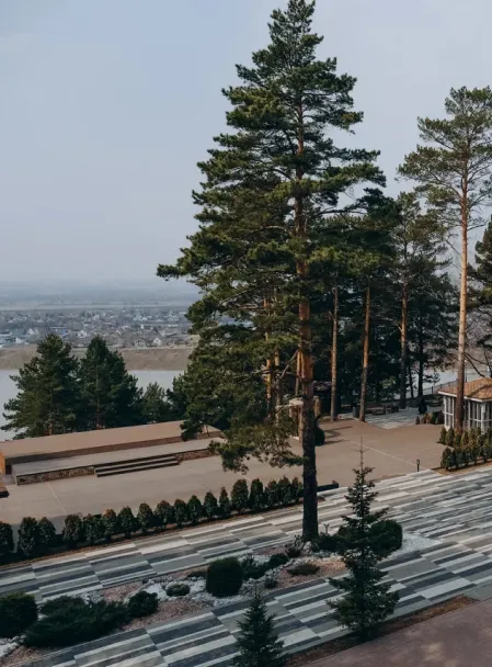 Вид на природу