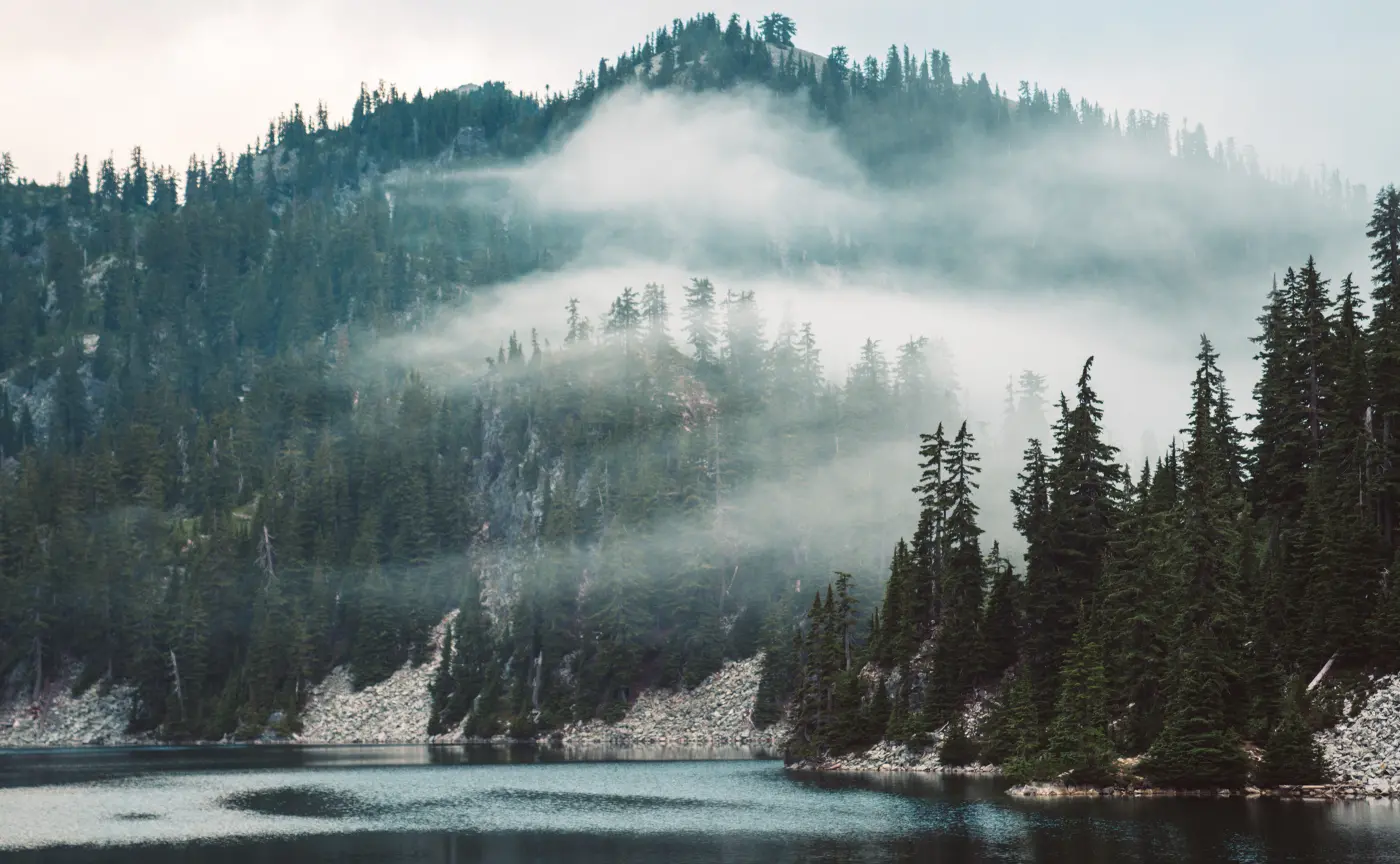 «Запах тайги» Массаж-парение